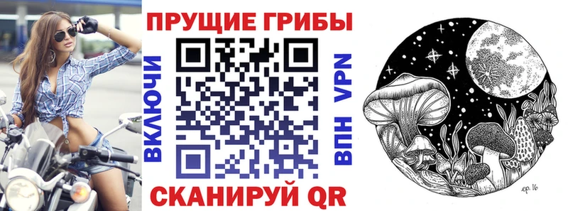 Галлюциногенные грибы GOLDEN TEACHER  кракен зеркало  Касли 
